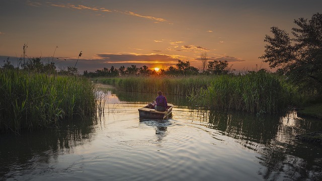 Effective Stress Management

Mastering Stress: Strategies for Managing and Relieving Daily Pressures